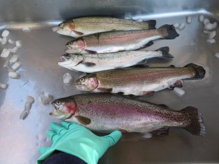 久しぶりの開成釣行は爆釣！