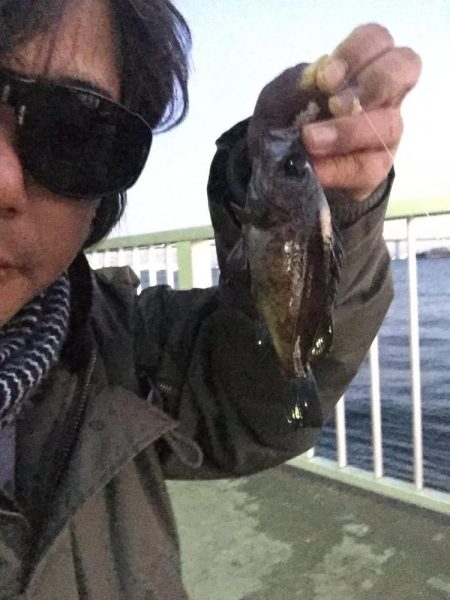 ふれーゆ裏の釣り場へ行ってきました。