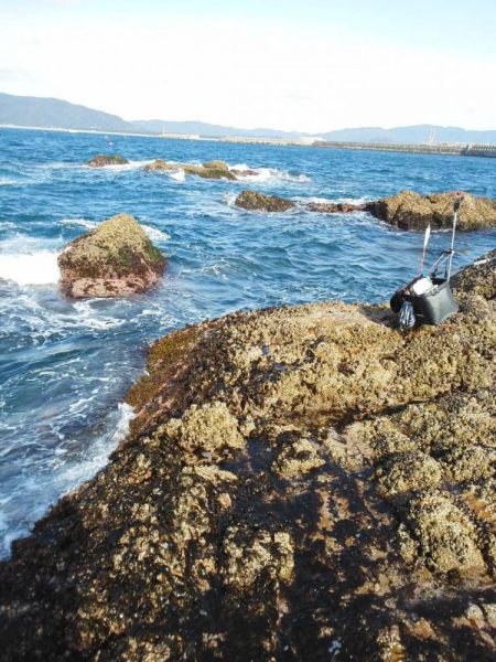 チヌ祭り始まりました・・・・