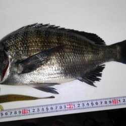 過去最高アベレージ