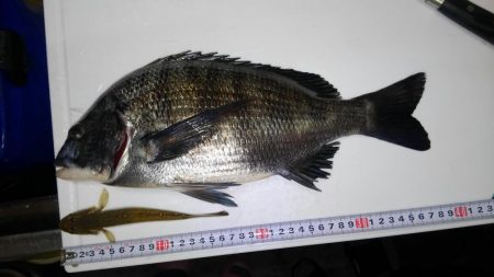 過去最高アベレージ