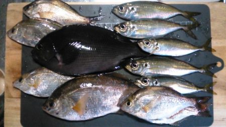 満足の釣り納め