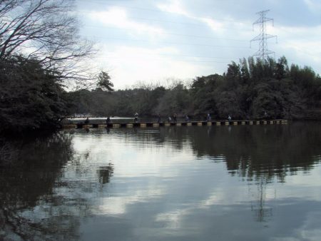 大安トラウトレイク 釣果
