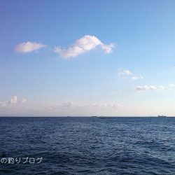 寒チヌ4枚ゲット！