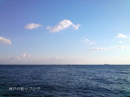 寒チヌ4枚ゲット！