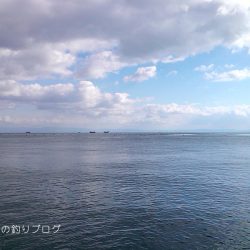 極寒のチヌ釣り