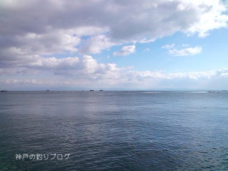 極寒のチヌ釣り