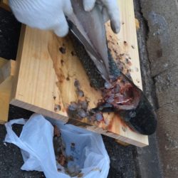 夜中に初めての港で釣行