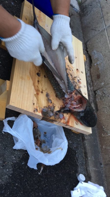 夜中に初めての港で釣行