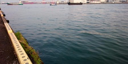 ◯やっとフィッシュオン