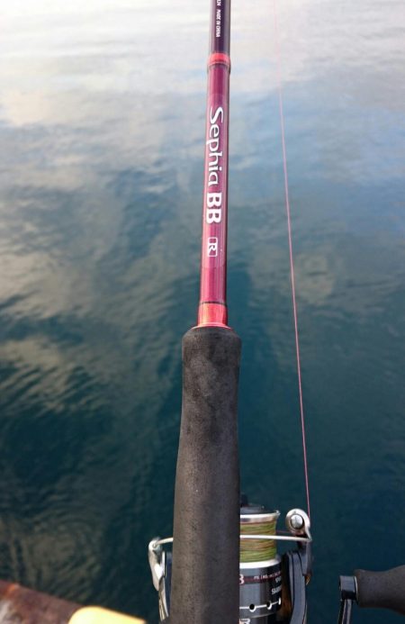 ⚫年明け湾奥タチウオ