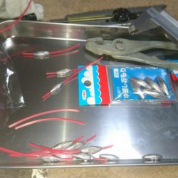 アジキャロで釣れたのは