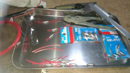 アジキャロで釣れたのは