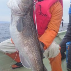 気仙沼　つり丸 釣果