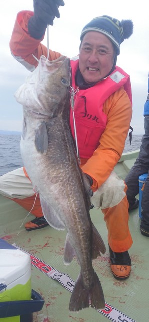 気仙沼　つり丸 釣果