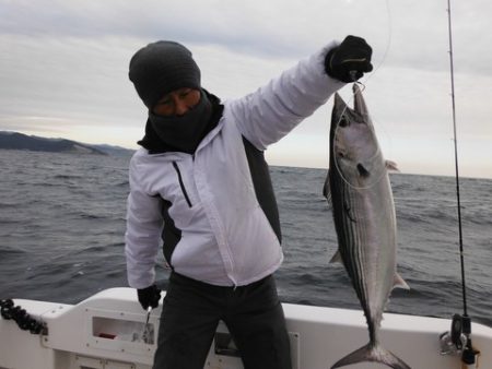 開進丸 釣果