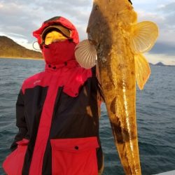 Magic(マジック) 釣果