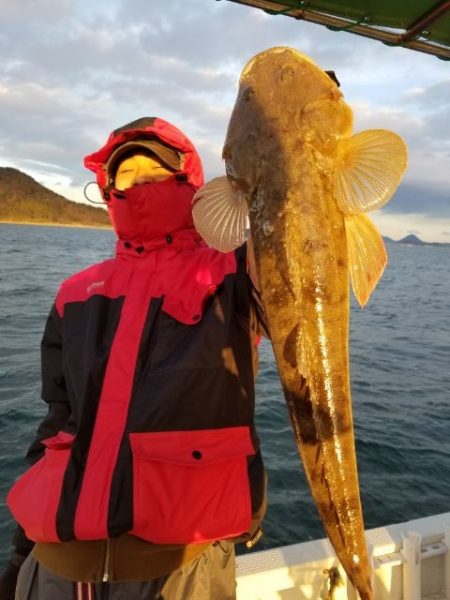 Magic（マジック） 釣果