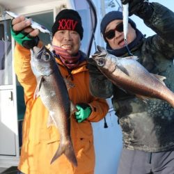 へいみつ丸 釣果