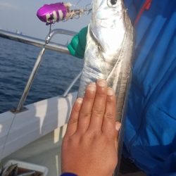 遊漁船 ニライカナイ 釣果