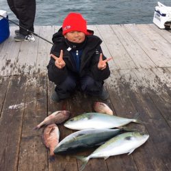 由良海上釣り堀 海人 釣果