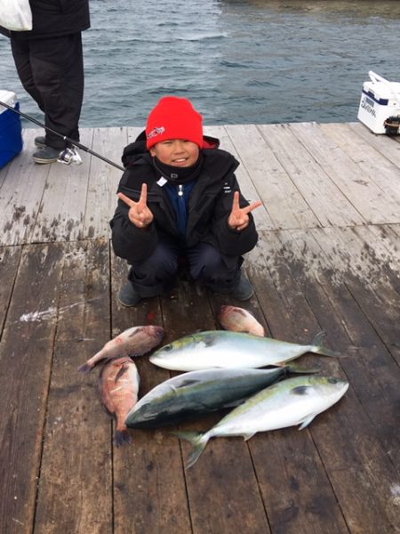 由良海上釣り堀 海人 釣果
