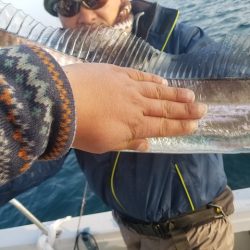 遊漁船 ニライカナイ 釣果