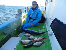 久里浜黒川本家 釣果