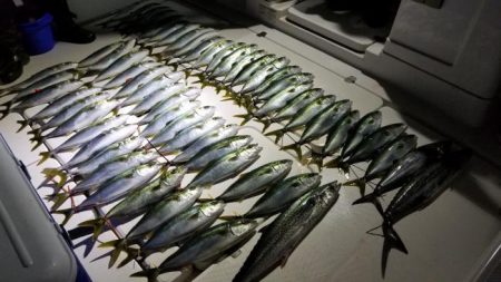 暁〜akatsuki〜 釣果