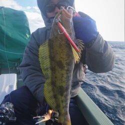 気仙沼 つり丸 釣果