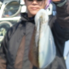 フィッシング太陽 釣果