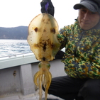 フィッシング太陽 釣果