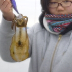 フィッシング太陽 釣果