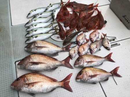 ふじしめ丸 釣果