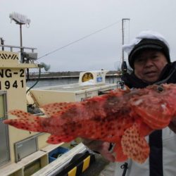 大進丸(新潟) 釣果