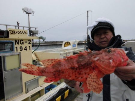大進丸(新潟) 釣果