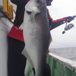 遊漁船 新鋭丸 釣果