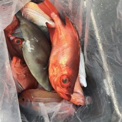 寿裕 （YOSHIHIRO） 釣果