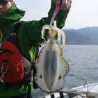 フィッシング太陽 釣果