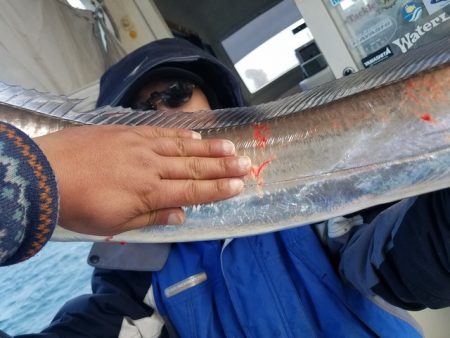 遊漁船　ニライカナイ 釣果