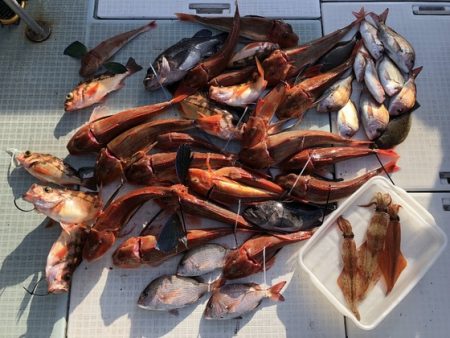 ふじしめ丸 釣果