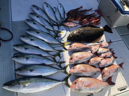 ふじしめ丸 釣果