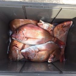 遊漁船高橋 釣果