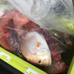 寿裕 （YOSHIHIRO） 釣果