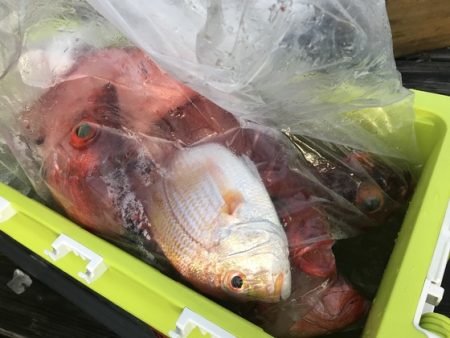 寿裕 （YOSHIHIRO） 釣果