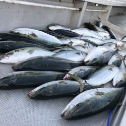 寿裕 （YOSHIHIRO） 釣果