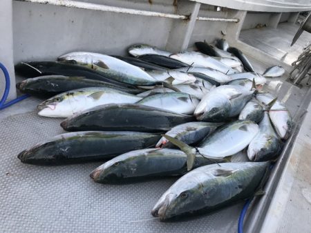 寿裕 （YOSHIHIRO） 釣果