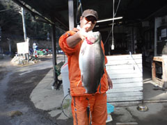 すそのフィッシングパーク 釣果