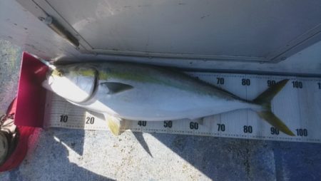 釣り船武蔵 釣果