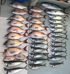 さぶろう丸 釣果